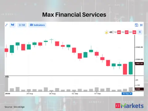Max Financial Services 