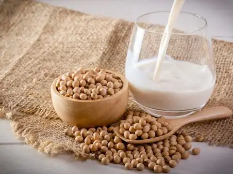 Soya Milk With Cardamom And Jaggery