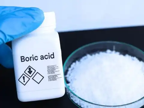 Keep The Boric Acid Bait Trick Ready