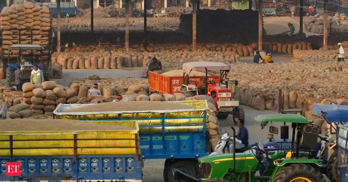 India rice output set for biggest drop in nearly 20 years as weak rains hit yields