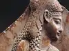 Motivational Quote of the Day by Cleopatra: “Celerity is never more admired than by… – Timeless life lessons from an inspiring quote on discipline, productivity, time management, procrastination and why you should seize the day