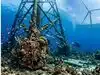 How Southern New England wind turbines are turning into artificial reefs where crabs thrive?