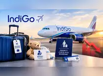 IndiGo shares in focus as India’s largest airline hikes excess baggage and priority services prices<br>