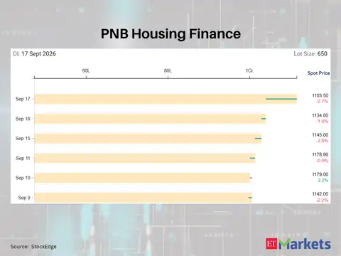 PNB Housing Finance 