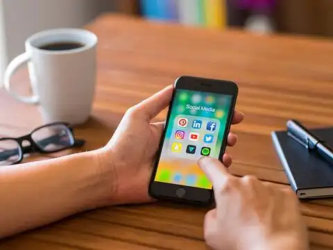 EPFO WhatsApp channel: More service-related information