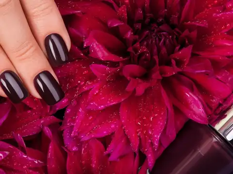 Deep Plum