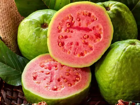 Guava (Amrood)