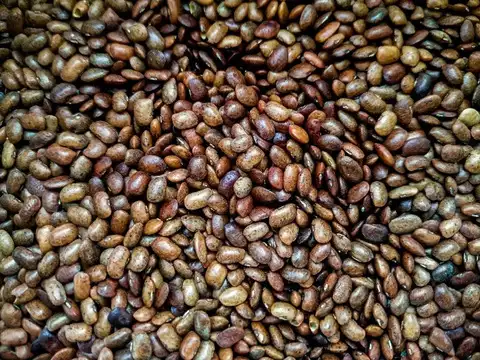 Horse Gram (Kulthi Dal)