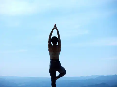 Tree Pose (Vrikshasana)