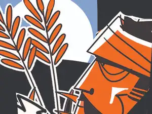 Rabi Crop Planning Steps Up Amid Rainfall Deficit, El Niño Concerns