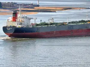Tanker Riesco sails at sea in New Brighton