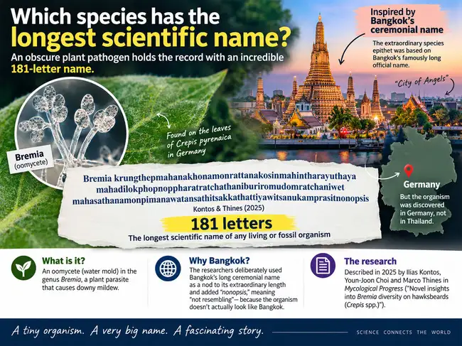 What are binomial names? Which species has the longest scientific name ...