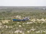 In just decades, the world's fourth-largest lake vanished and became a 23,000-sq-mile desert. Now millions of shrubs are bringing hope back