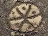 prehistoric burial structures: Latest News & Videos, Photos about ...