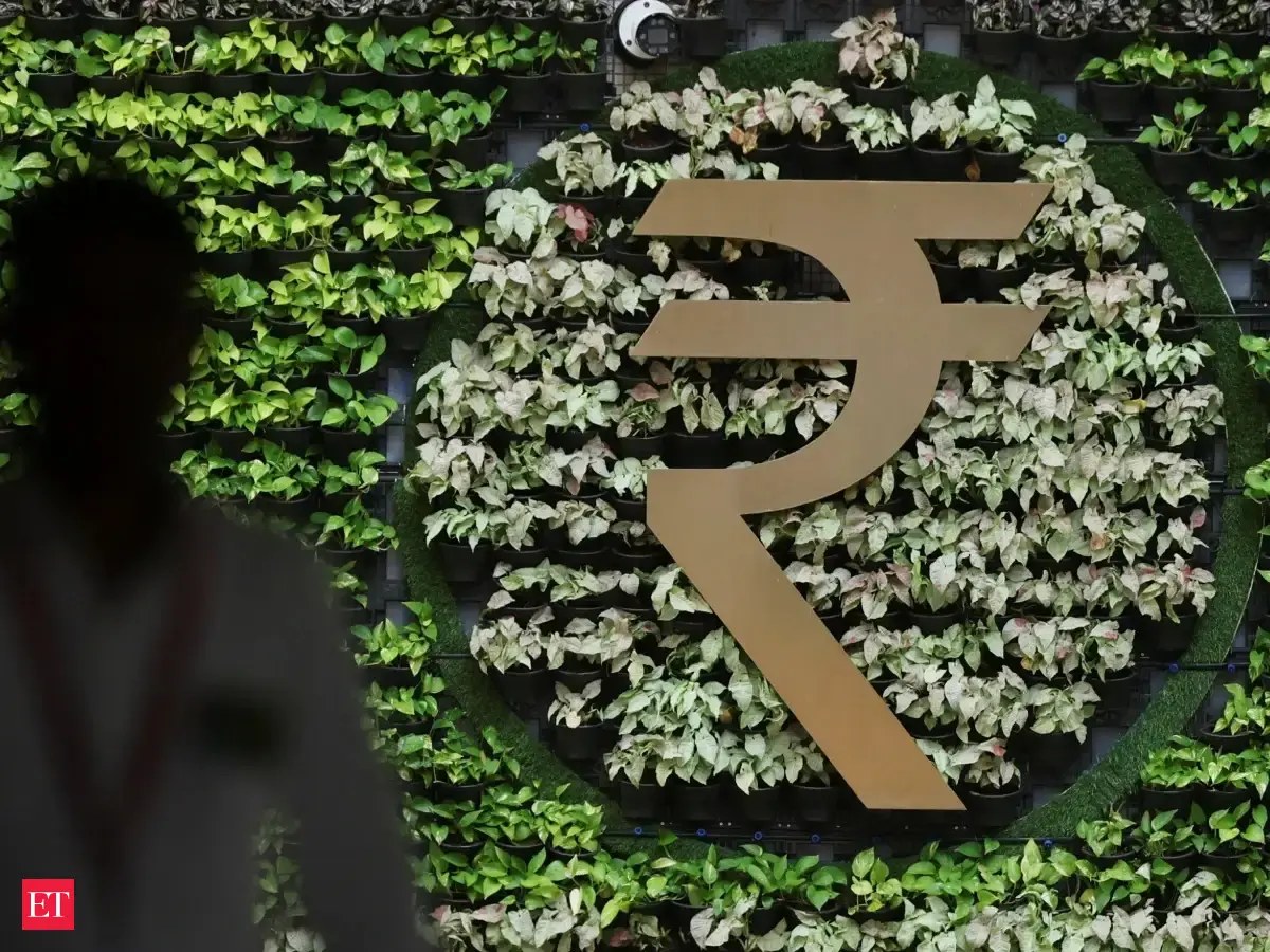 Government shares investor concerns over rupee depreciation, says Goyal