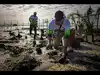 In 2019, Aidan Gallagher linked fan pledges to mangrove planting in Madagascar. 6 years later, the campaign had planted 113,706 trees and removed 38 million kg of carbon