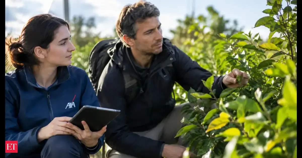 In 2019, AXA launched a $175 million climate and biodiversity fund. Within a year, $41.5 million had been allocated to projects targeting measurable environmental outcomes