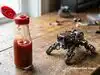 uncover robotics: Latest News & Videos, Photos about uncover robotics ...