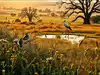 Isabella Tree used free-roaming animals instead of intensive farming to revive soils; the result transformed 3,500 acres into a wildlife haven with 13 bat species