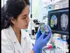 neural networks: Latest News & Videos, Photos about neural networks ...