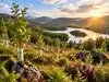 In 2024, Arup invested &pound;1 million in a UK wildland project. Its funding supported restoration across 71.24 hectares and secured 10,000 tonnes of carbon removal credits