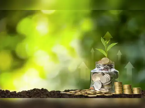 WhiteOak Capital Mid Cap Fund