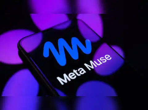 ​Hunterbrook's Meta-Muse Claim