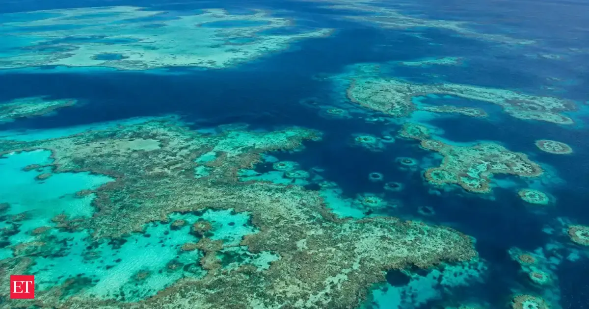 In 2026, Australian researchers combined satellite images and desktop mapping to uncover more than 1,000 previously uncharted coral reefs