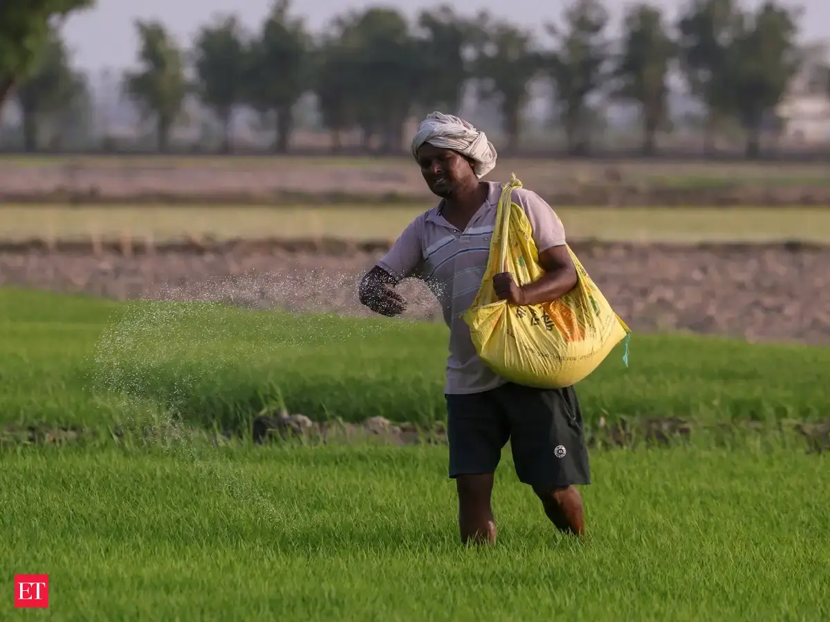 Indian farmers trim spending on seeds and fertilisers as monsoon falters