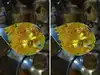Garam Dharam Dhaba shut in Ghaziabad after viral video shows cockroach in vegetable dish; officials find insects in damaged deep freezer