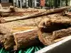 In 2017, Philadelphia crews digging up Spruce Street hit water mains made of bored logs, laid around 1811; the city's last wooden pipe left service in 1858