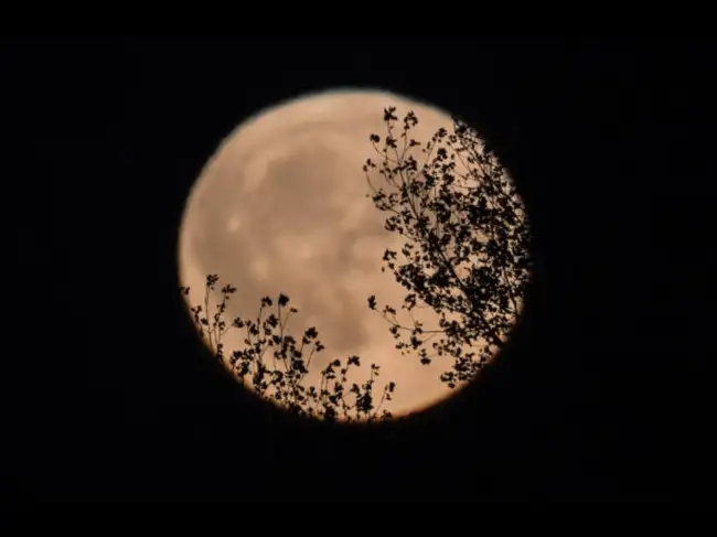 Full Harvest Moon rises this weekend but its real trick happens after the first night: Here's when to get the best view