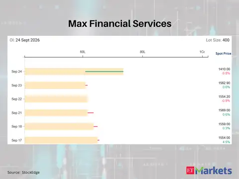 Max Financial Services 