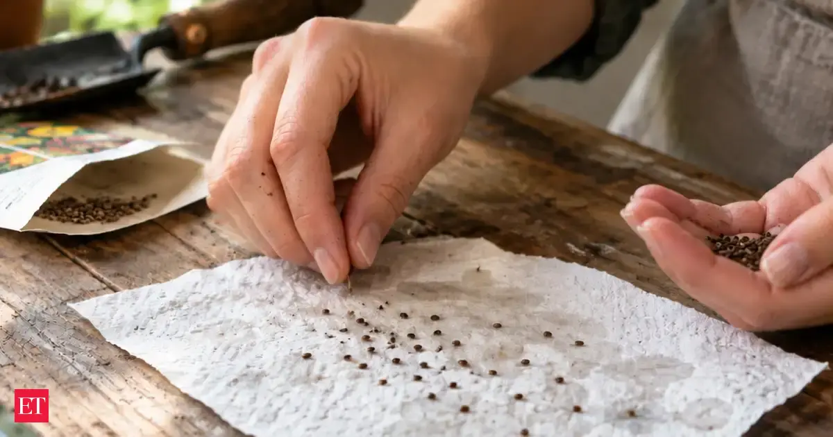 Have an old packet of seeds and don't know if they will still grow? Put ...