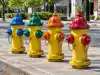 blue bird training test questions News and Updates from The Economic ...