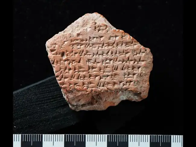 3,400-year-old fragment of world’s oldest peace treaty found in Turkey with a powerful message<br>