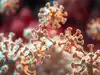 COVID-19 had a scientific head start; the next pandemic virus may be a stranger. NVIDIA and Google DeepMind are using AI to map 2,800 viruses before the next outbreak