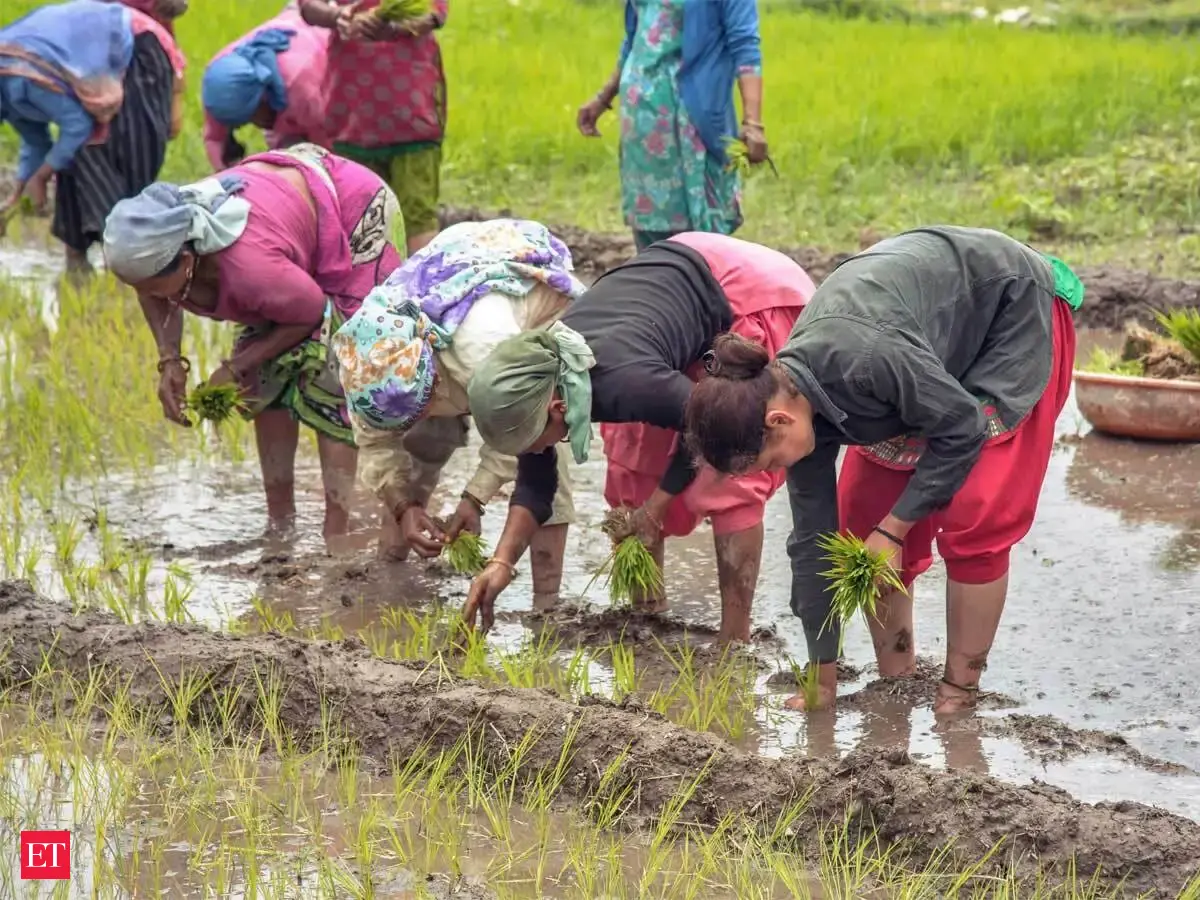 Karnataka announces Rs 2,500 input subsidy for drought-hit farmers: Dy CM Parameshwara