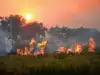 Haryana cuts stubble fires by 91 pc since 2021; steps up air pollution measures ahead of winter