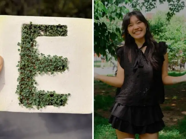 Artist turns a missing NYC subway tile into living art with chia seeds ...