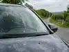 In 2021, 654 volunteers began counting insect splats on cars across the UK; by 2024, the survey recorded a 62.5% drop