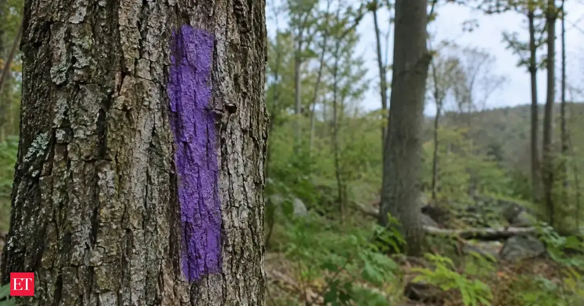 A purple stripe on a tree can legally mean ‘No Trespassing’ in 22 states; in Pennsylvania, the mark must be 8 inches long and 3 to 5 feet above ground