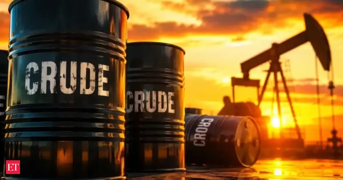 'Russian crude helped India cushion oil shocks' 