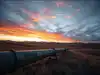 Natural gas defies energy shock as strong supply keeps prices in check