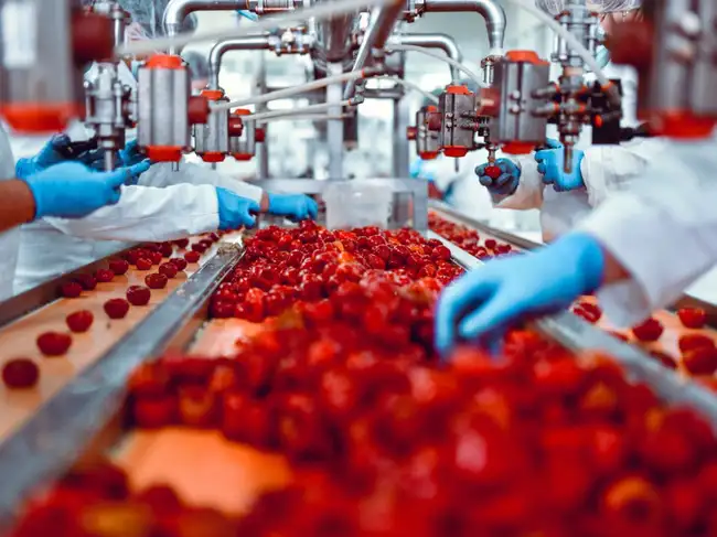 FSSAI has suspended Switz Foods' licence over food safety violations and unhygienic conditions at its manufacturing unit.