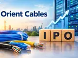 Can Orient Cables IPO deliver long-term growth for high-risk investors?