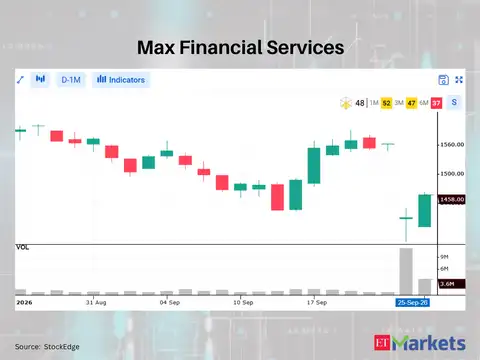 Max Financial Services 