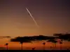 TakeMe2Space to launch orbital computing satellite on SpaceX rocket