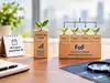NFO Insight: WOC Diversified Equity Small Cap Active FoF NFO opens for subscription. How is it different from a smallcap fund?
