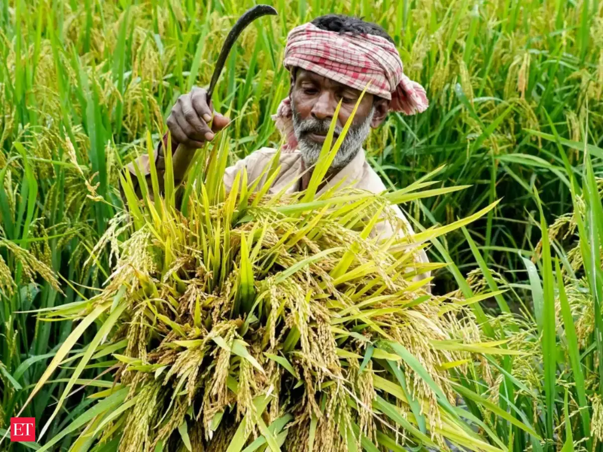Agriculture Minister Chouhan urges states to prioritise pulses, oilseeds in rabi planning